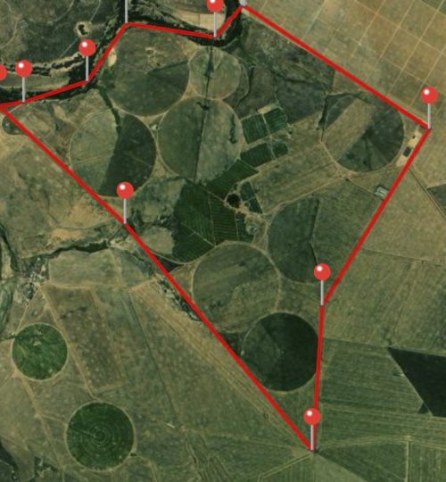 Farm for Sale in Koringberg